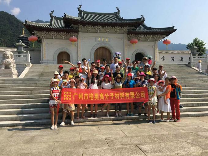 Compras al por mayor de PSAF libre repelente de agua impermeable para tejidos Cuero Protector de muebles Cuidado de muebles Spray impermeable 16