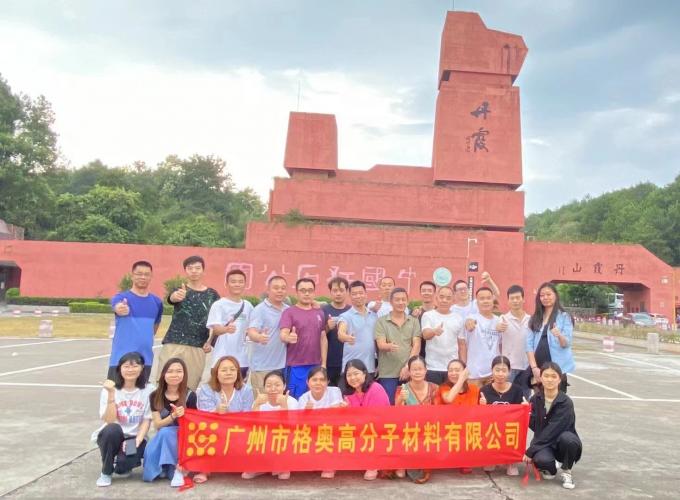 Compras al por mayor de PSAF libre repelente de agua impermeable para tejidos Cuero Protector de muebles Cuidado de muebles Spray impermeable 18