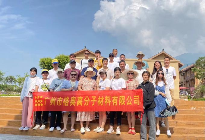 Compras al por mayor de PSAF libre repelente de agua impermeable para tejidos Cuero Protector de muebles Cuidado de muebles Spray impermeable 21